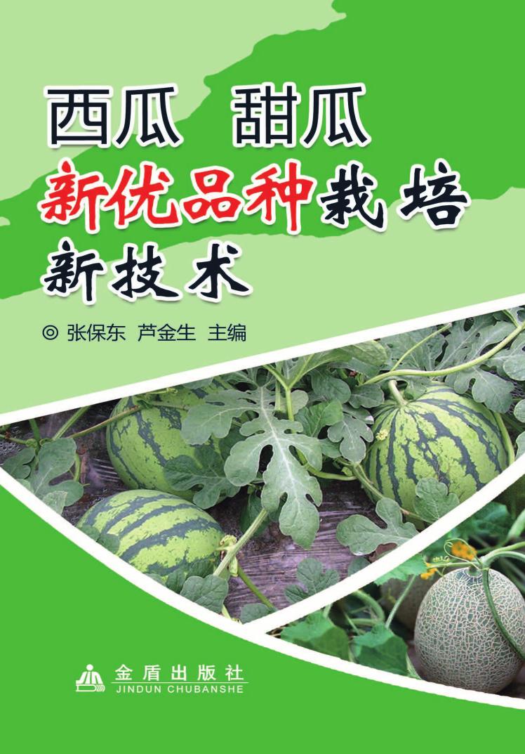 书香澳门科技大学